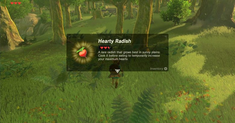 Screenshots zu Zelda: Breath of the WIld